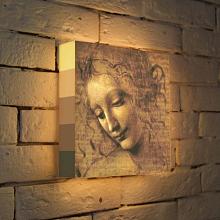 Лайтбокс Леонардо да Винчи Эскиз 25x25-039