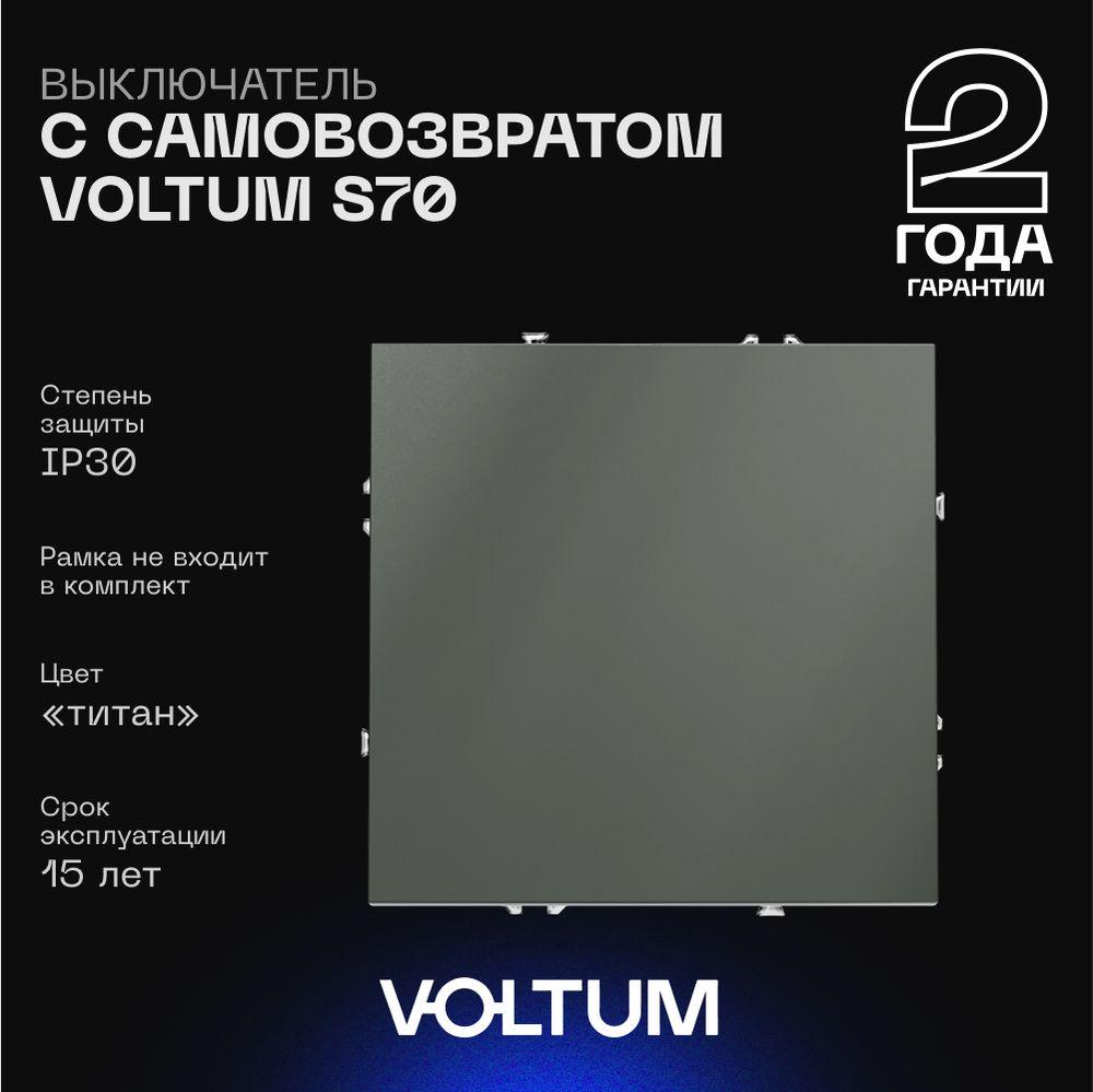 Электротовар Выключатель с самовозвратом встраиваемый Voltum S70 одноклавишный 10А, (титан)… пластик