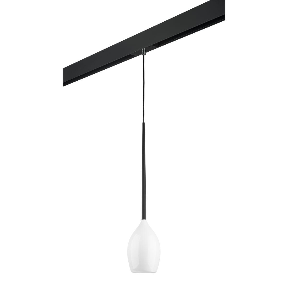 Светильник Комплект с трековым светильником Lightstar Meta d'uovo (807110+595007) хром металл