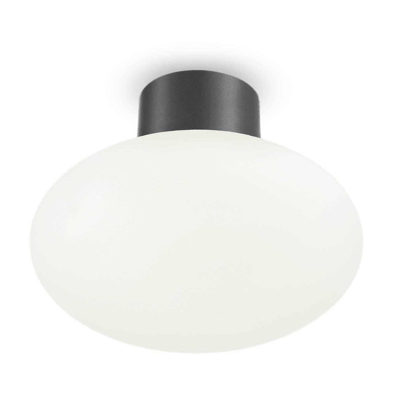 Уличное освещение Уличный светильник Ideal Lux Clio MPL1 Antracite 148861 белый пластик
