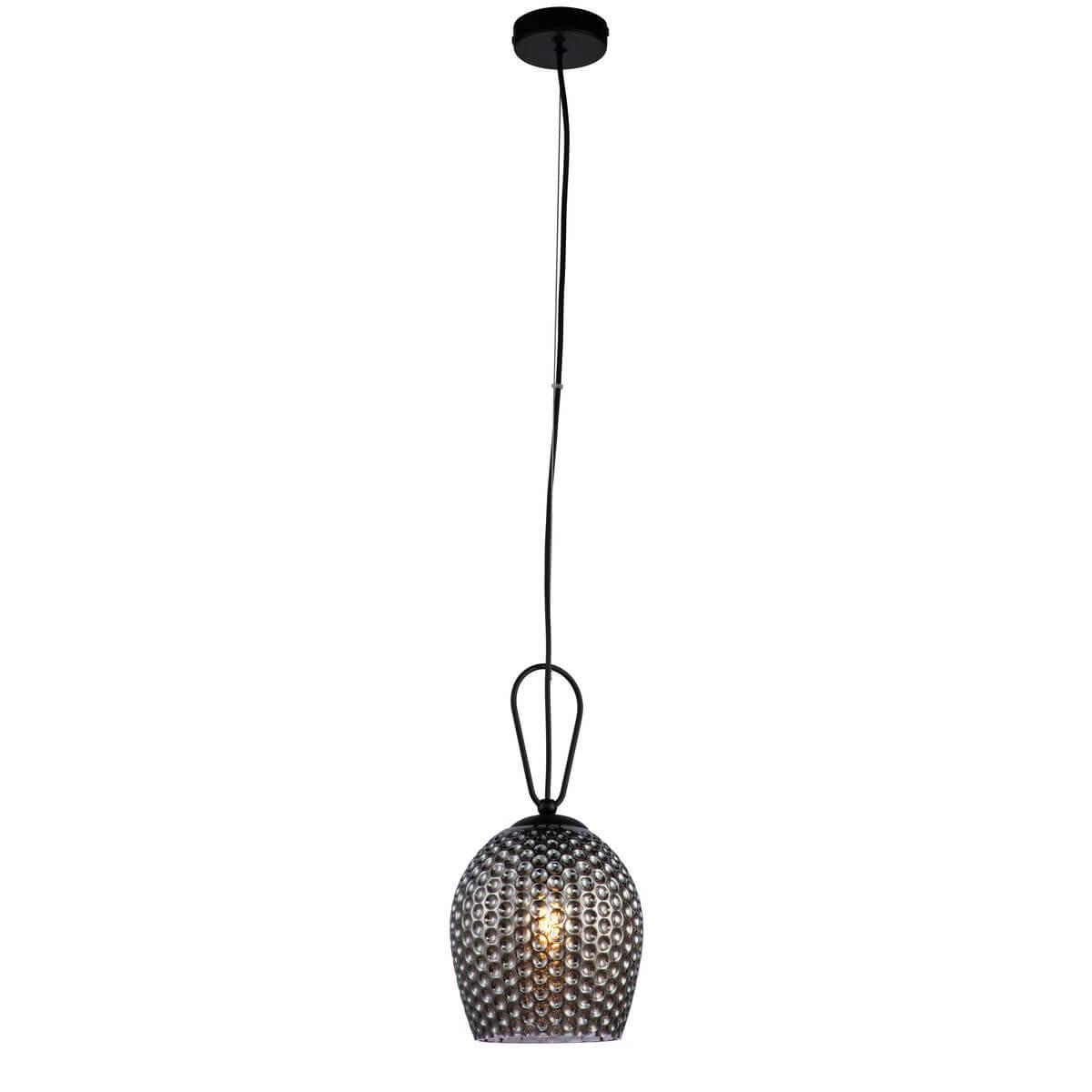 Подвесные светильник Светильник Armonia 11001 1P Black серый стекло