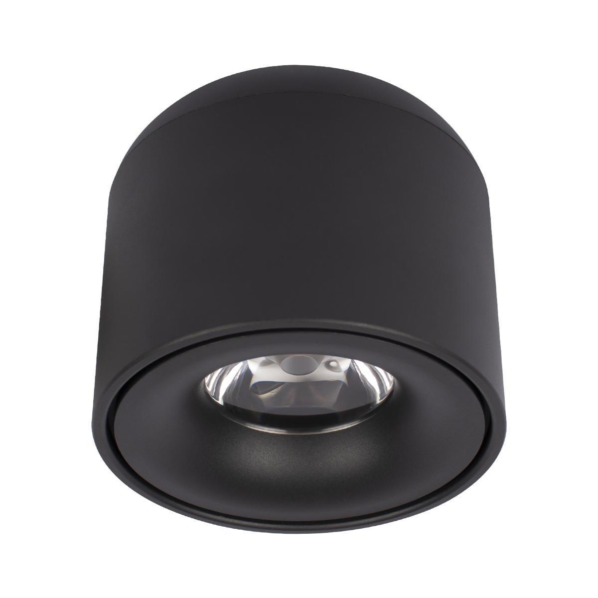 Потолочные светильник Светильник Tictac 10219 Black черный металл
