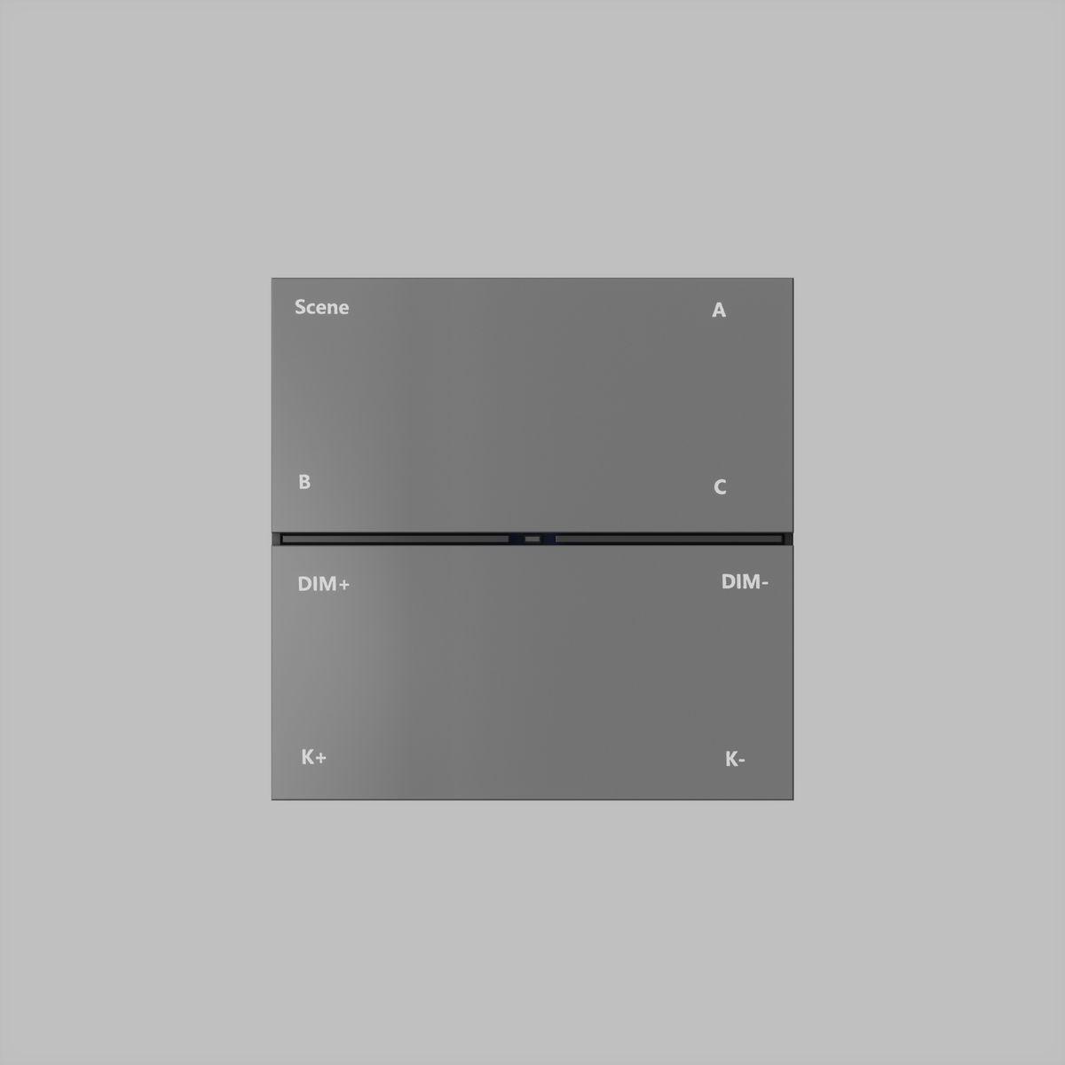 Трековые систем Панель управления Denkirs Control BT DK7201-DG