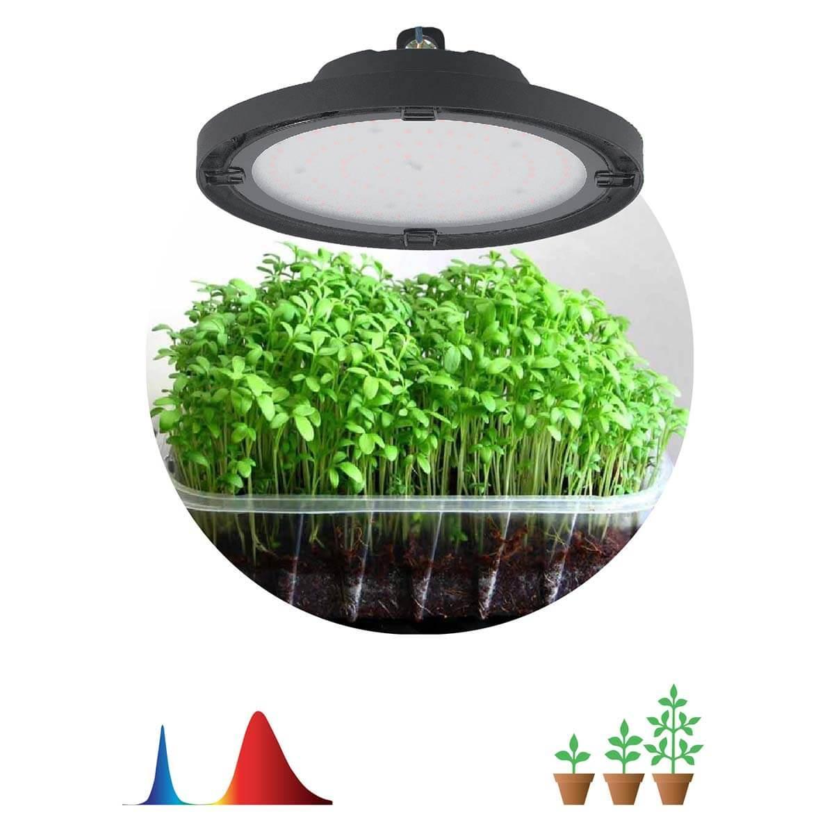 Уличное освещение Прожектор светодиодный для растений ЭРА 50W 1310K Fito-50W-RB-Led-Ufo Б0053280 черный пластик