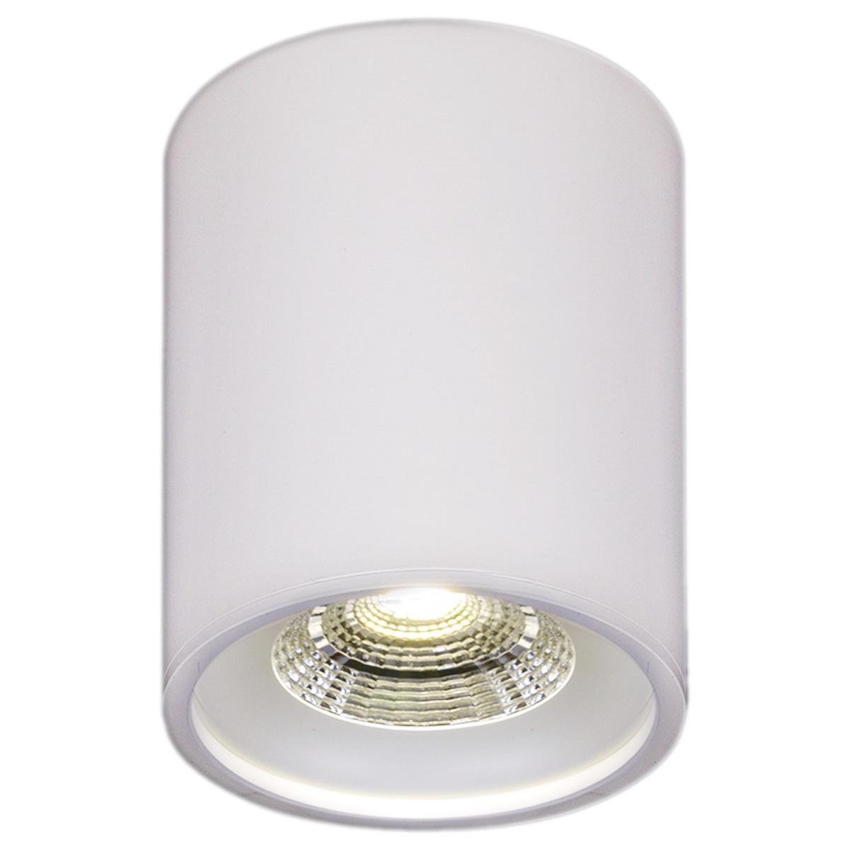 Светильник Накладной светильник Reluce 81117-9.5-001RT LED WT белый металл