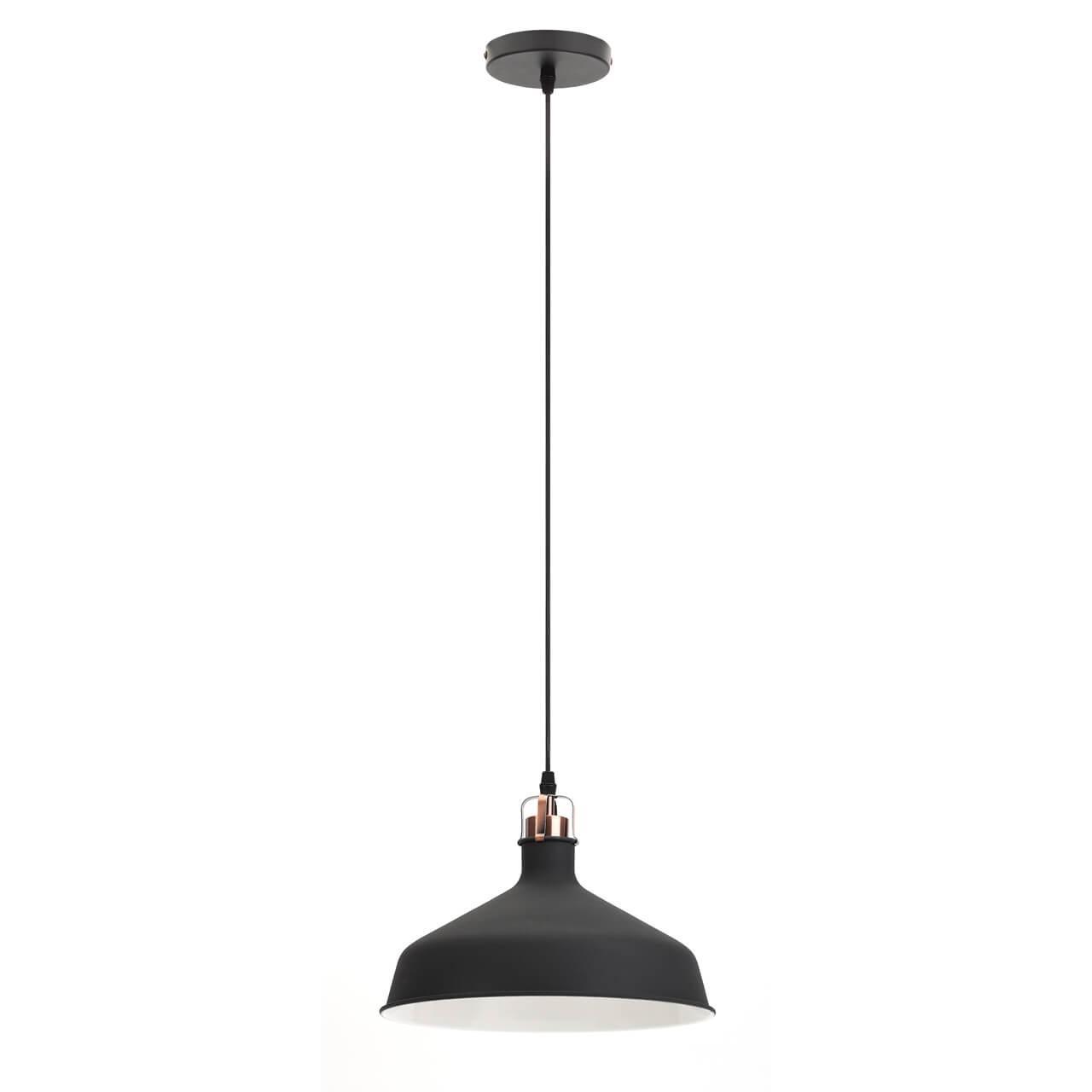 Подвесные светильник Светильник Loft PL2 BK RC черный металл