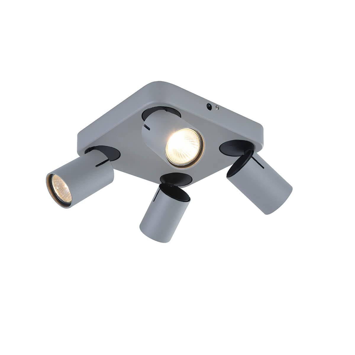 Споты с 3 и более плафонам Спот Carrisi серый металл