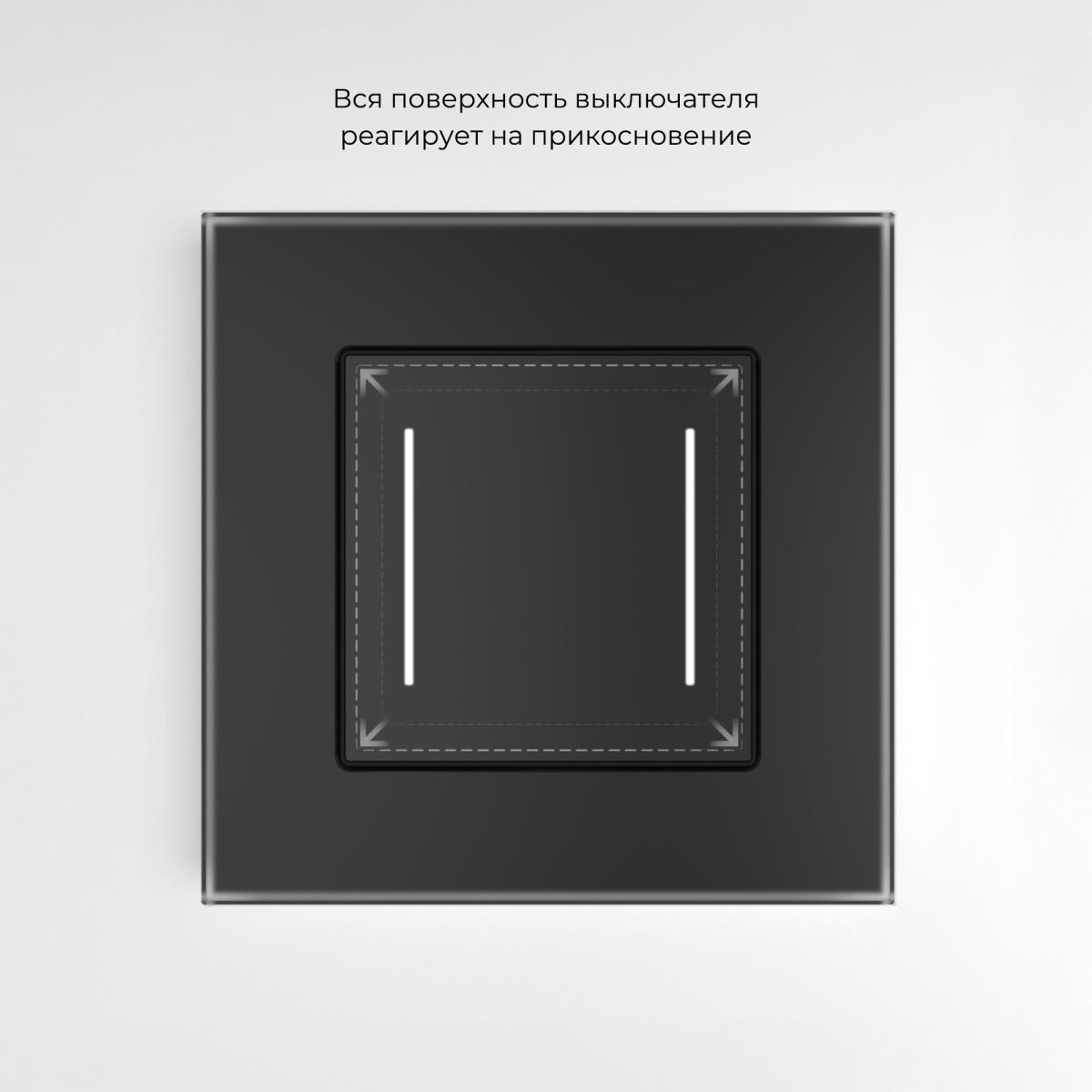 Электротовар Сенсорный выключатель двухклавишный Werkel с подсветкой черный W4522008 4690389198052 черный стеклянные — фото 3