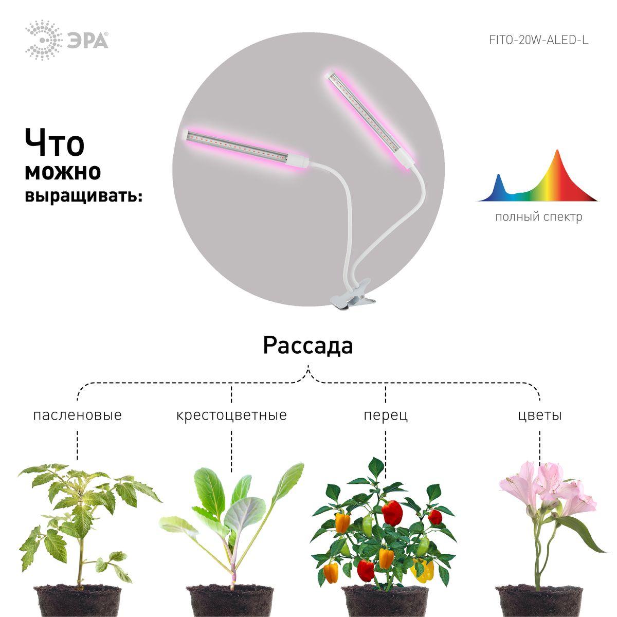 Светильник Светодиодный светильник для растений ЭРА Fito--А-L, Белый белый пластиковые / поликарбонат — фото 3