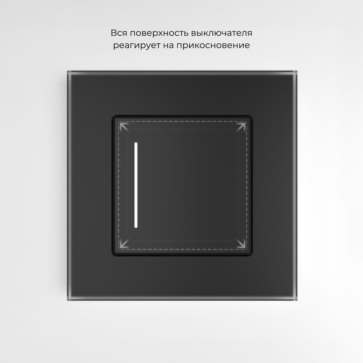 Электротовар Сенсорный выключатель одноклавишный Werkel (Умный дом) с подсветкой черный W4513008… черный стеклянные — фото 4