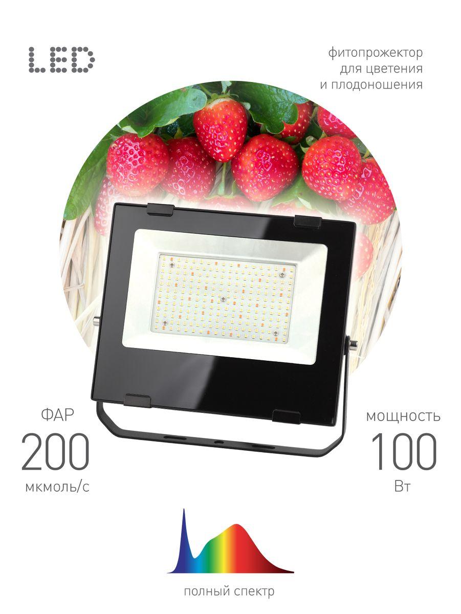 Уличное освещение Прожектор светодиодный для растений ЭРА 100W 4000K Fito-100W-Ra90-Led Б0047876, Черный черный пластиковые / поликарбонат — фото 4