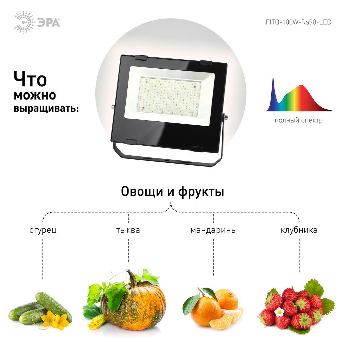 Уличное освещение Прожектор светодиодный для растений ЭРА 100W 4000K Fito-100W-Ra90-Led Б0047876, Черный черный пластиковые / поликарбонат — фото 3