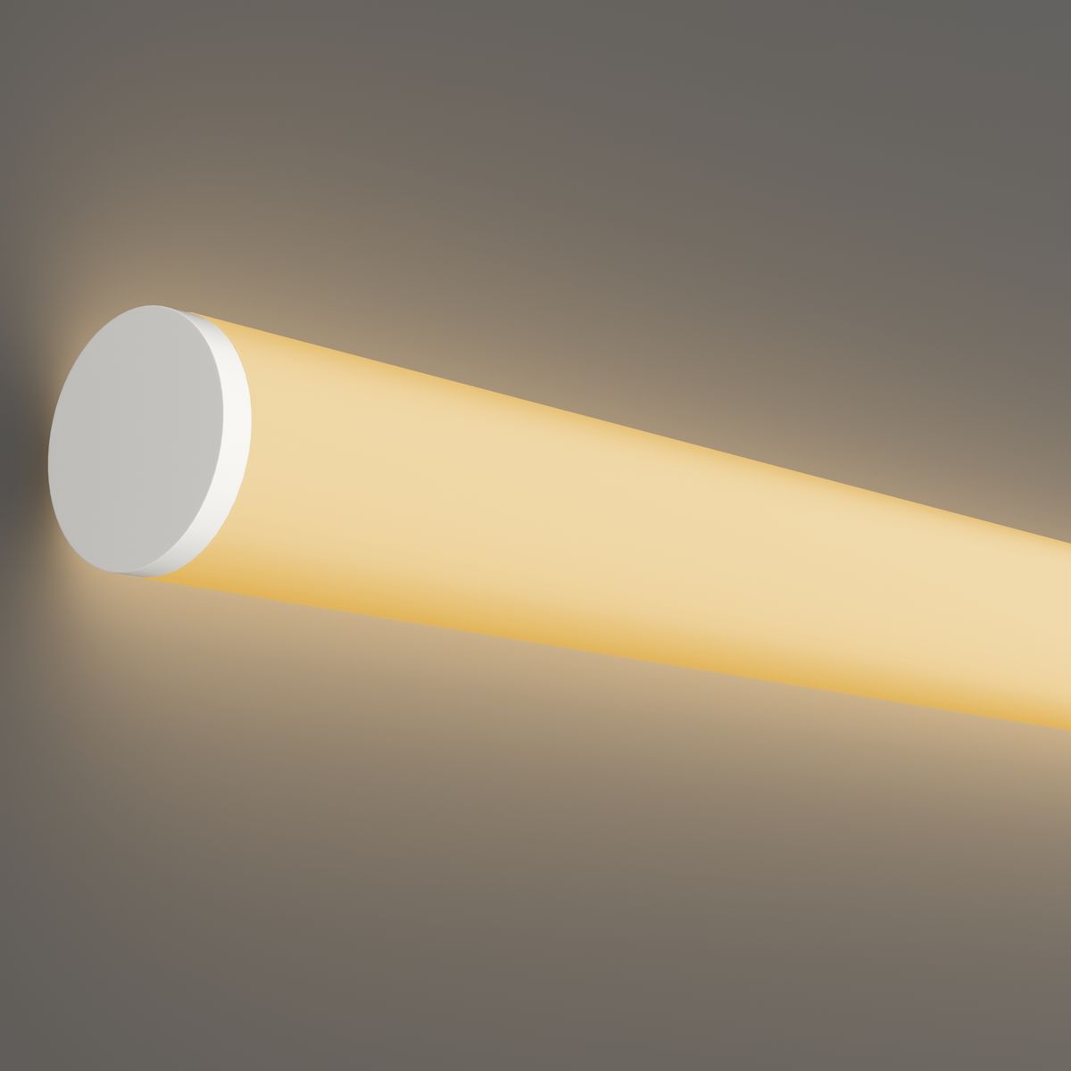 Светодиодные лент Гибкий неон Maytoni m 2835SMD теплый, Белый белый — фото 6