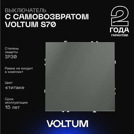 Выключатель с самовозвратом встраиваемый Voltum S70 одноклавишный 10А, (титан) VLS010606