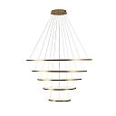 Подвесной светодиодный светильник Loft IT Ring 10015/5