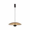 Подвесной светильник Lumien Hall Arta 8007/1PL-WD