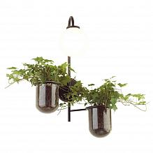 Настенный светильник Odeon Light Walli Flower 4681/1W