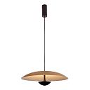 Подвесной светодиодный светильник DesignLed JY P0608-450A-WD-WW 003405