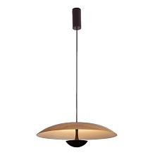 Подвесной светодиодный светильник DesignLed JY P0608-450A-WD-WW 003405