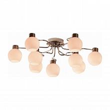 Потолочная люстра Citilux Отто CL121191