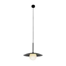 Подвесной светильник Zortes Lumi ZRS.2436.40