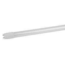 Лампа светодиодная ЭРА G13 10W 6500K матовая LED T8-10W-865-G13-600mm Б0033000