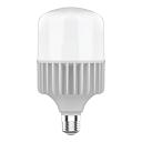 Лампа светодиодная Gauss E40 100W 6500K матовая 63430