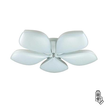 Потолочная светодиодная люстра Lumion Ledio Gabriella 3645/60CL
