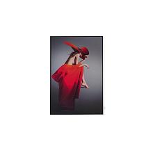 Картина Lumina Deco FP Red Hat 50-70