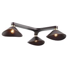 Потолочная люстра Lussole Loft SY4359
