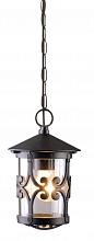 Уличный подвесной светильник Arte Lamp Persia A1455SO-1BK