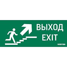 Пиктограмма Varton Выход / Лестница вверх / Фигура V5-EM01-60.001.027