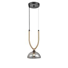 Подвесной светильник Vele Luce Astiy VL5434P01
