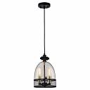 Подвесной светильник Lussole Loft Brighamton GRLSP-9675