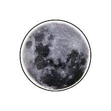 Настенно потолочный светодиодный светильник Escada Planet 605/S LED Moon