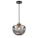 Подвесной светильник Vele Luce Alieno VL5352P21