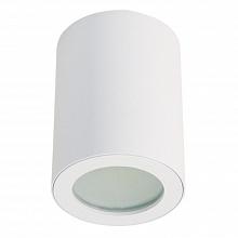 Потолочный светильник Fametto Sotto DLC-S606 GU10 IP44 White