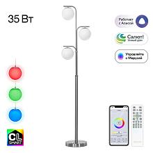 Торшер Citilux Адам Смарт CL228A931