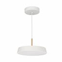 Подвесной светодиодный светильник Arlight Sp-Elegant-R300-17W Day4000 033919