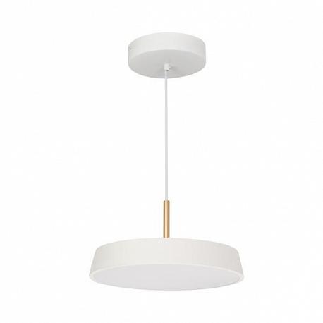 Подвесной светодиодный светильник Arlight Sp-Elegant-R300-17W Day4000 033919